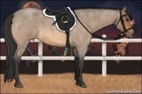 Horse Color:Buckskin Roan 