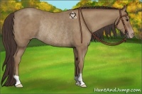 Horse Color:Classic Champagne Rabicano