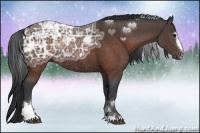 Horse Color:Brown Ice Sabino Rabicano 