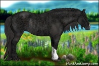 Horse Color:Liver Chestnut Ice Rabicano