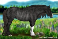 Horse Color:Liver Chestnut Ice Rabicano