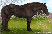 Horse Color:Liver Chestnut Ice Rabicano