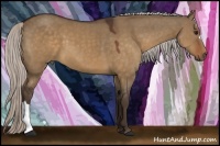 Horse Color:Silver Brown Dun 