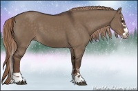 Horse Color:Liver Red Dun Sabino Splash