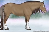 Horse Color:Liver Red Dun Sabino Splash