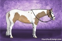 Horse Color:Silver Buckskin Splash Tobiano 