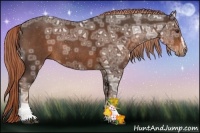Horse Color:Liver Chestnut Ice Sabino Rabicano