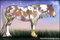Horse Color:Nacre White Spotted Silver Brown 