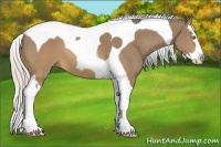 Horse Color:Silver Buckskin Splash Tobiano 