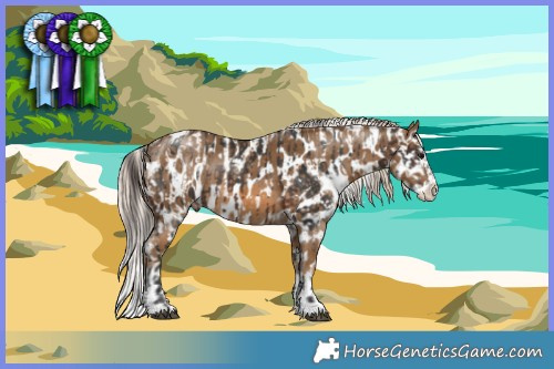 Horse Color:Brown Sabino Near Leopard  and Chocolate Palomino Sabino Splash Near Leopard 