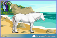Horse Color:Brown Sabino Appaloosa  and Chocolate Palomino Sabino Splash Appaloosa 