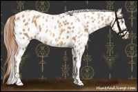 Horse Color:Gold Champagne Leopard  and Gold Champagne Leopard 