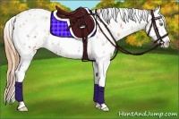 Horse Color:Gold Champagne Roan Leopard  and White Spotted Gold Champagne Roan Leopard 