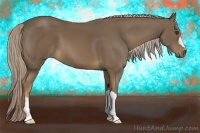Horse Color:Chocolate Palomino