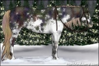 Horse Color:Nacre Liver Chestnut Ice Sabino 