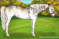 Horse Color:White Spotted Liver Red Onyx