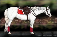 Horse Color:Perlino Near Leopard  and Perlino Near Leopard 