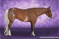 Horse Color:White Spotted Silver Bay Splash 