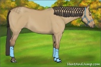 Horse Color:Buckskin Dun 