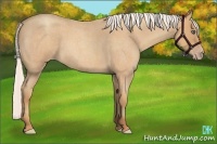 Horse Color:Silver Amber Champagne Roan 