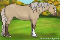 Horse Color:Silver Brown Roan Dun 