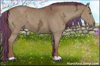 Horse Color:Painted Chestnut Ice 