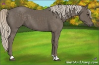 Horse Color:Silver Black 