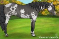 Horse Color:Black Ice 