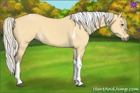 Horse Color:Silver Buckskin Dun Tobiano 