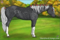 Horse Color:Silver Black Chinchilla 