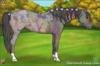 Horse Color:Nacre Brown Ice