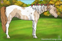 Horse Color:Gold Champagne Ice Tobiano