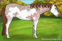 Horse Color:Chestnut Ice Splash Frame