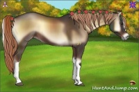 Horse Color:Liver Red Onyx