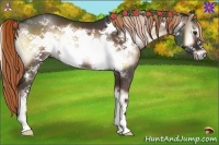 Horse Color:Liver Red Onyx Frame 