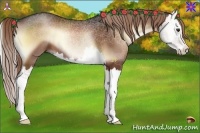 Horse Color:Liver Red Onyx Splash