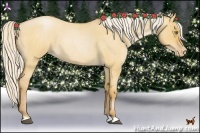 Horse Color:Silver Bay Roan Pearl Dun