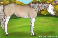 Horse Color:Silver Bay Dun Splash 