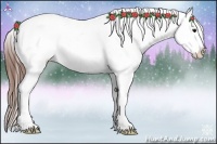 Horse Color:Brown Dun Snowcap 