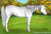 Horse Color:Silver Grullo Chinchilla Onyx Splash