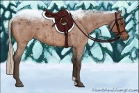 Horse Color:Silver Bay Roan