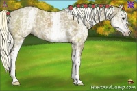 Horse Color:White Spotted Liver Red Dun Rabicano 