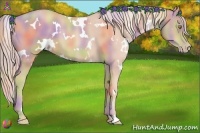 Horse Color:Nacre White Spotted Gold Champagne
