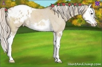 Horse Color:Silver Brown Roan Dun Splash Blanket 