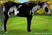 Horse Color:Brown Chinchilla Splash Tobiano Rabicano 