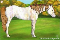 Horse Color:Gold Champagne Ice 