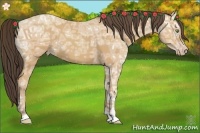 Horse Color:Amber Champagne Ice