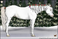 Horse Color:White Spotted Silver Bay Pearl Dun 