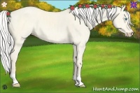 Horse Color:Silver Perlino Dun 