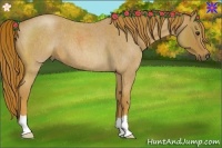 Horse Color:Red Roan 